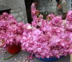 Getting ready for the Kathina 2013