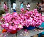 Getting ready for the Kathina 2013