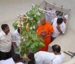 Bodhi Ropanaya - Planting of Bodhi Tree