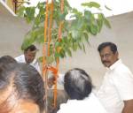 Bodhi Ropanaya - Planting of Bodhi Tree