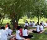 Meditation