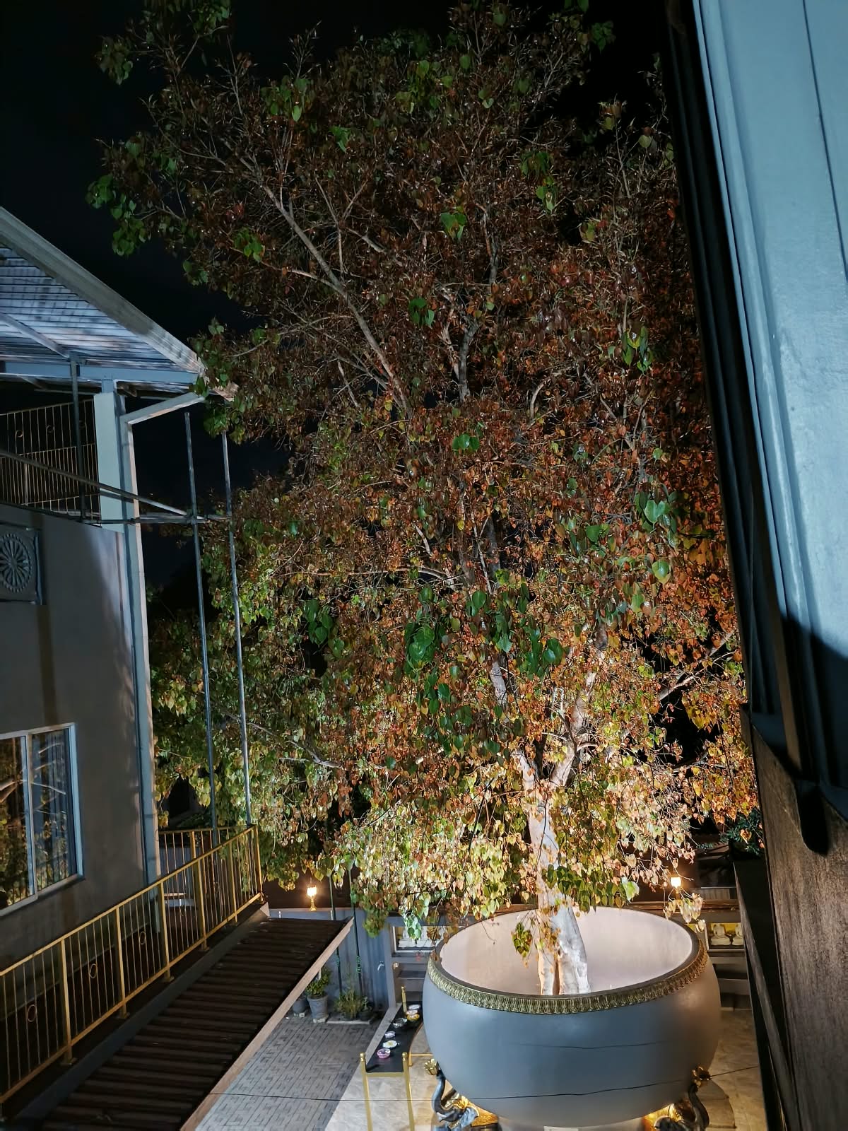 Gallery Image 8